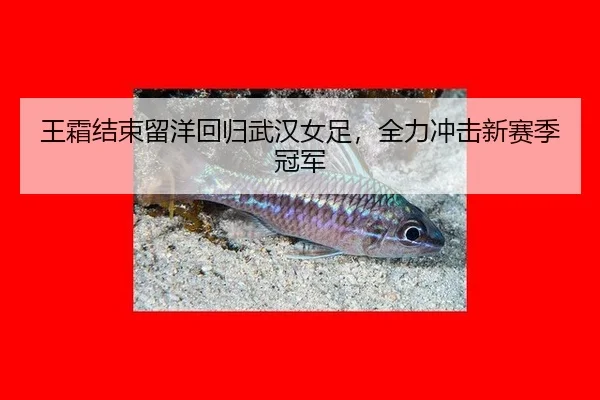 王霜结束留洋回归武汉女足，全力冲击新赛季冠军