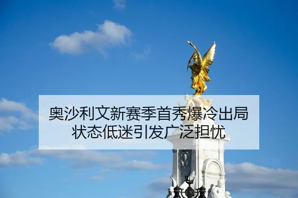 ao-sha-li-wen-xin-sai-ji-shou-xiu-bao-leng-chu-ju-zhuang-tai-di-mi-yin-fa-guang-fan-dan-you-2-338.jpg