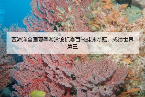 覃海洋全国夏季游泳锦标赛百米蛙泳夺冠，成绩世界第三